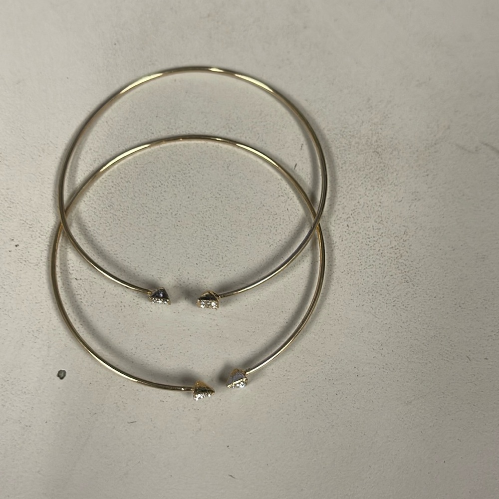 NWT Earrings